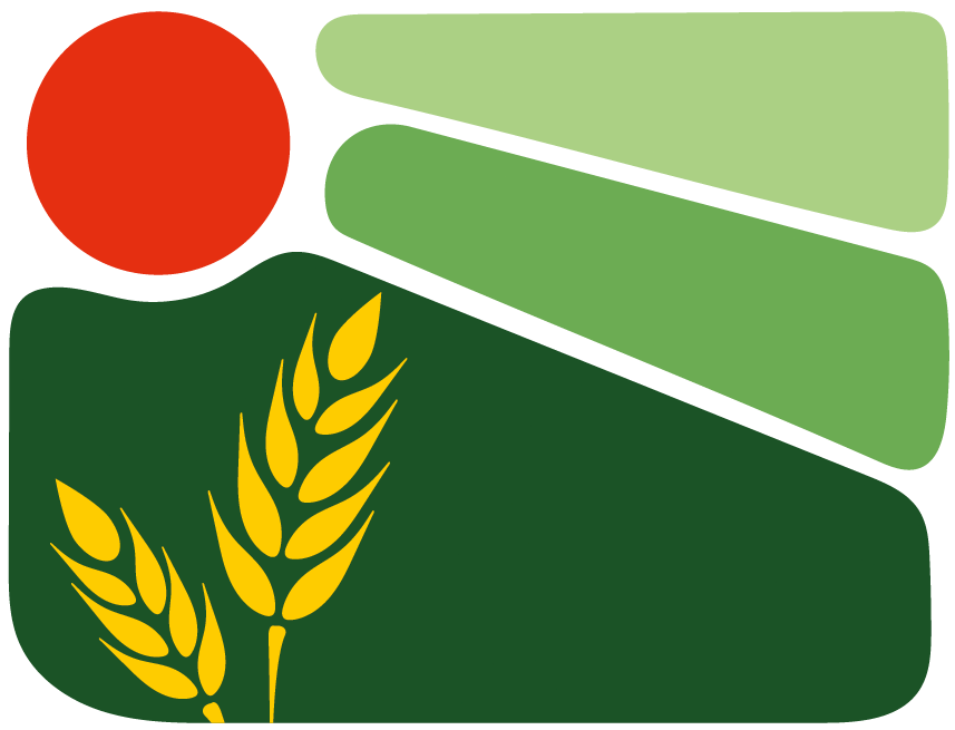NLC Palestine